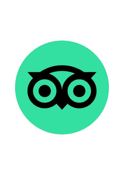 www.tripadvisor.com